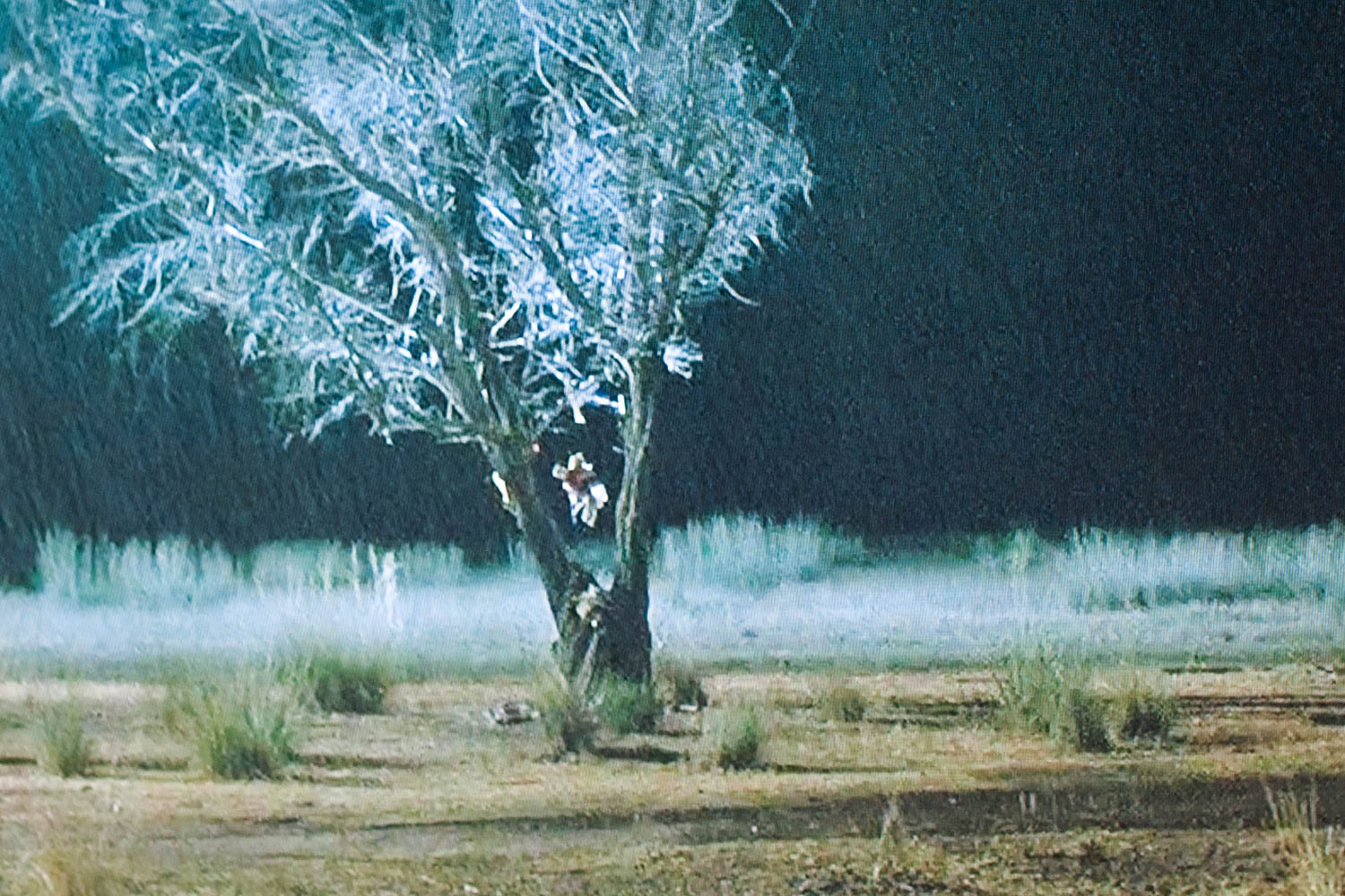 Der Tod und das Mädchen