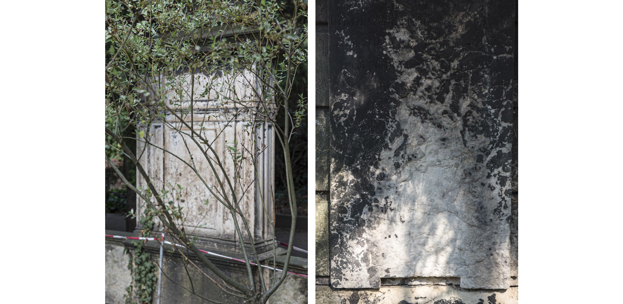 Der Tod und das Mädchen