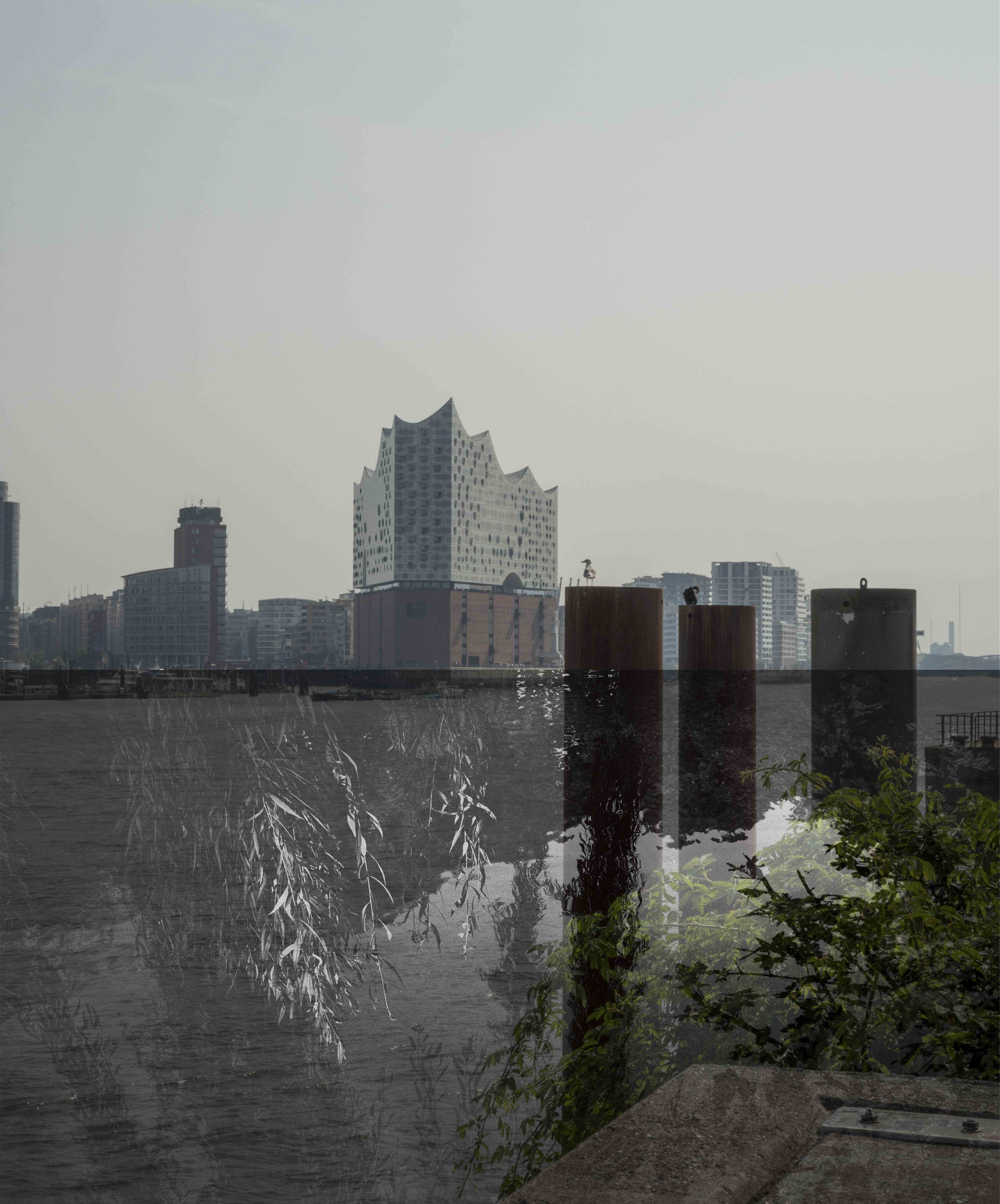 Fluid Realities Bild 1