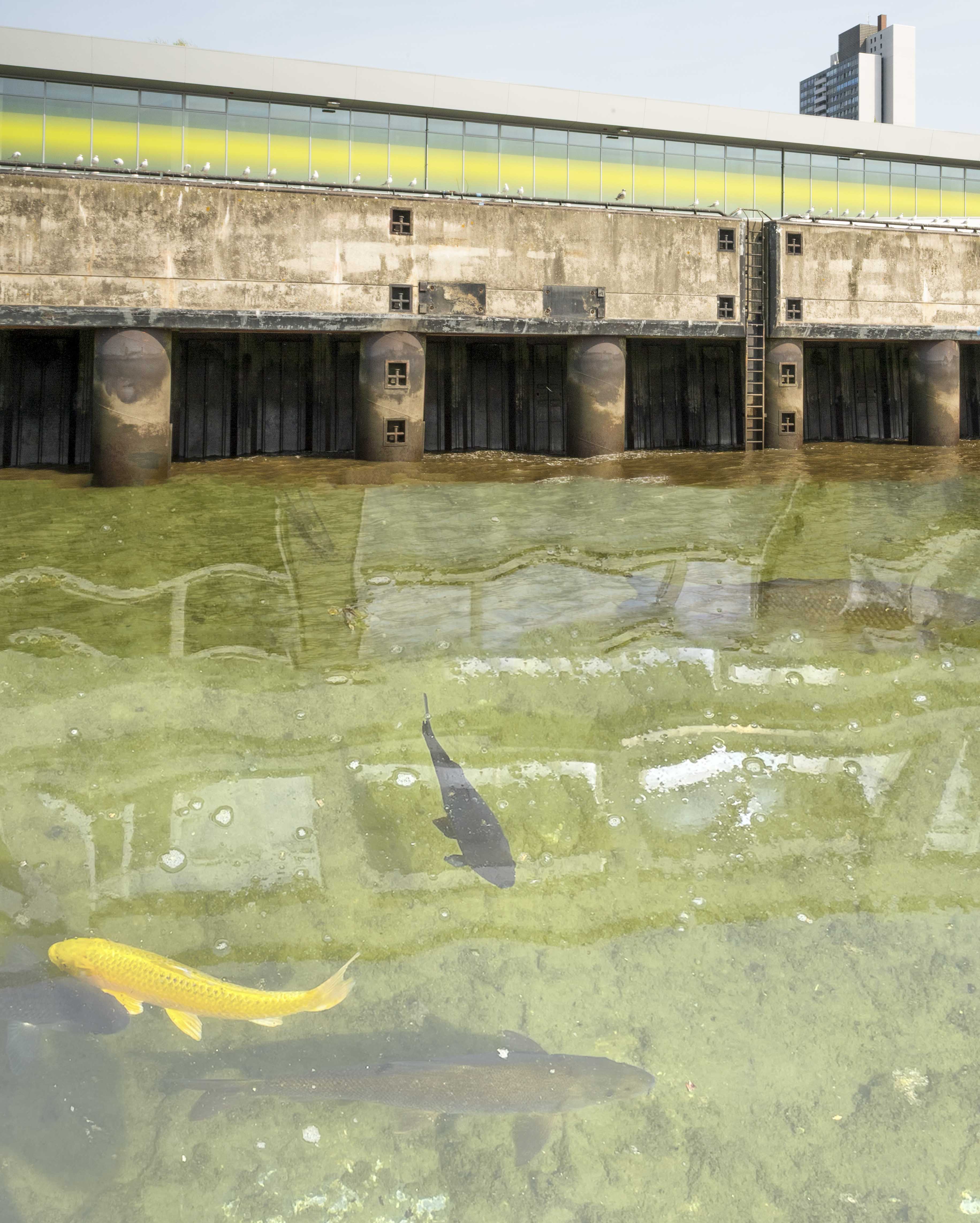 Fluid Realities Bild 2