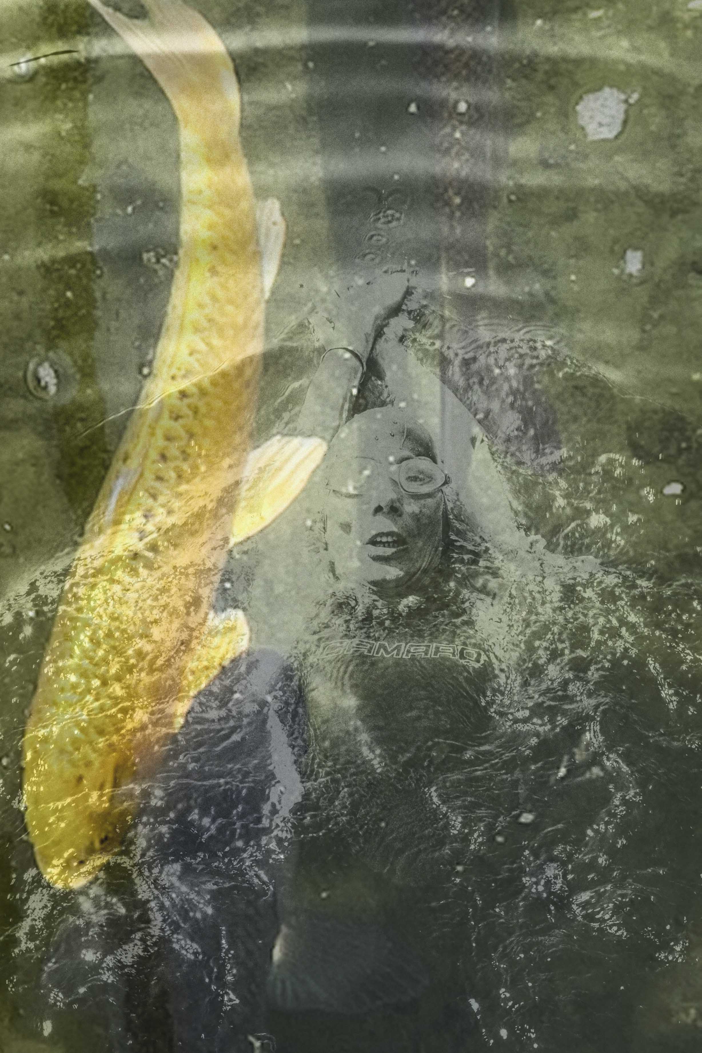 Fluid Realities Bild 3