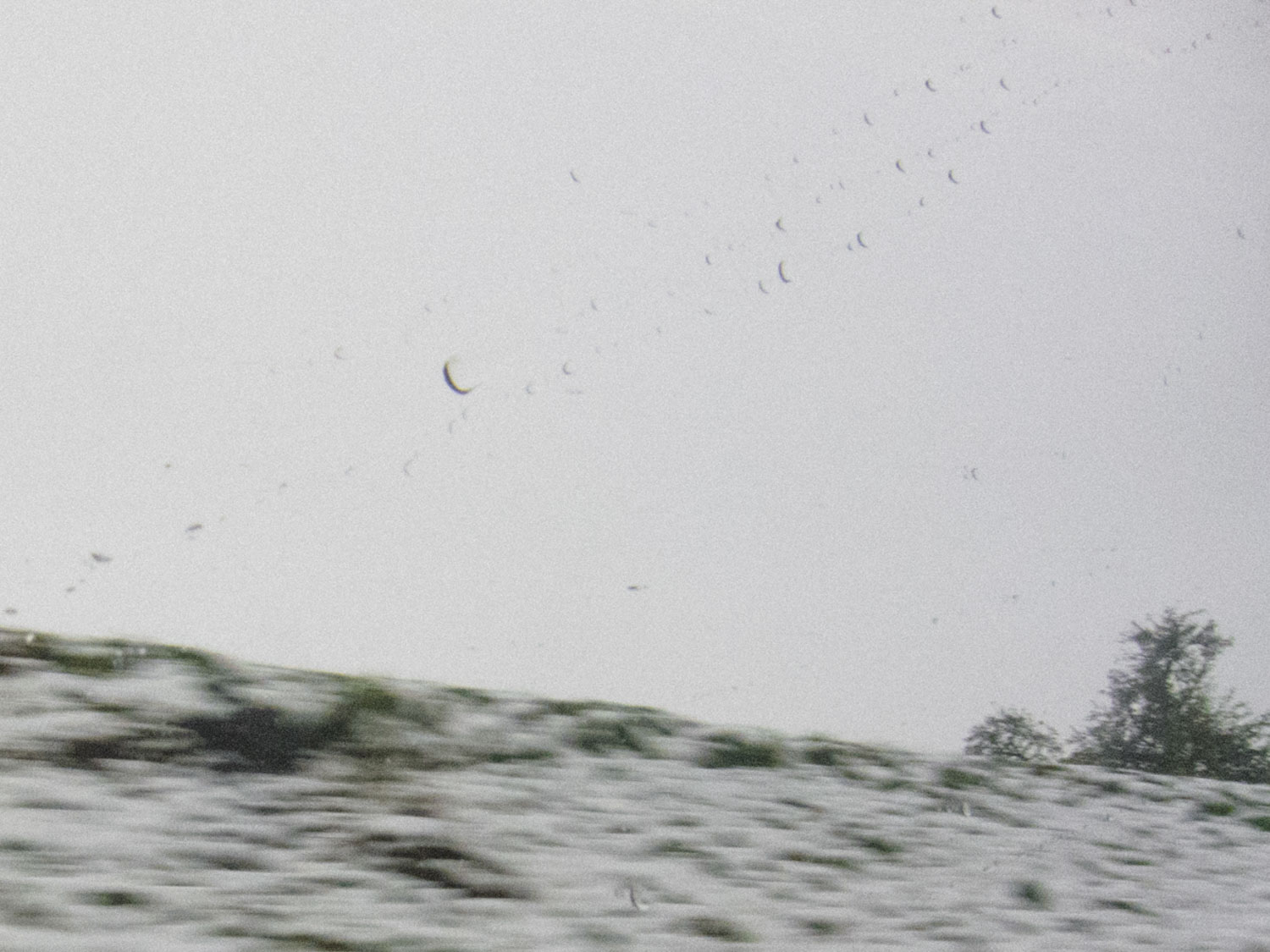 Das Gedächtnis des Regens