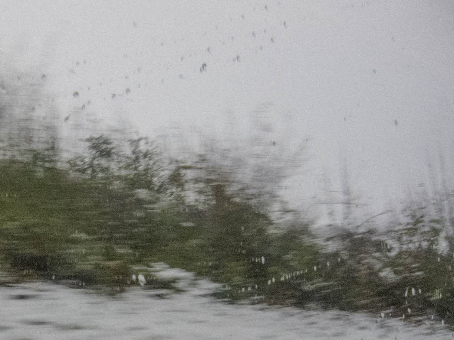 Das Gedächtnis des Regens