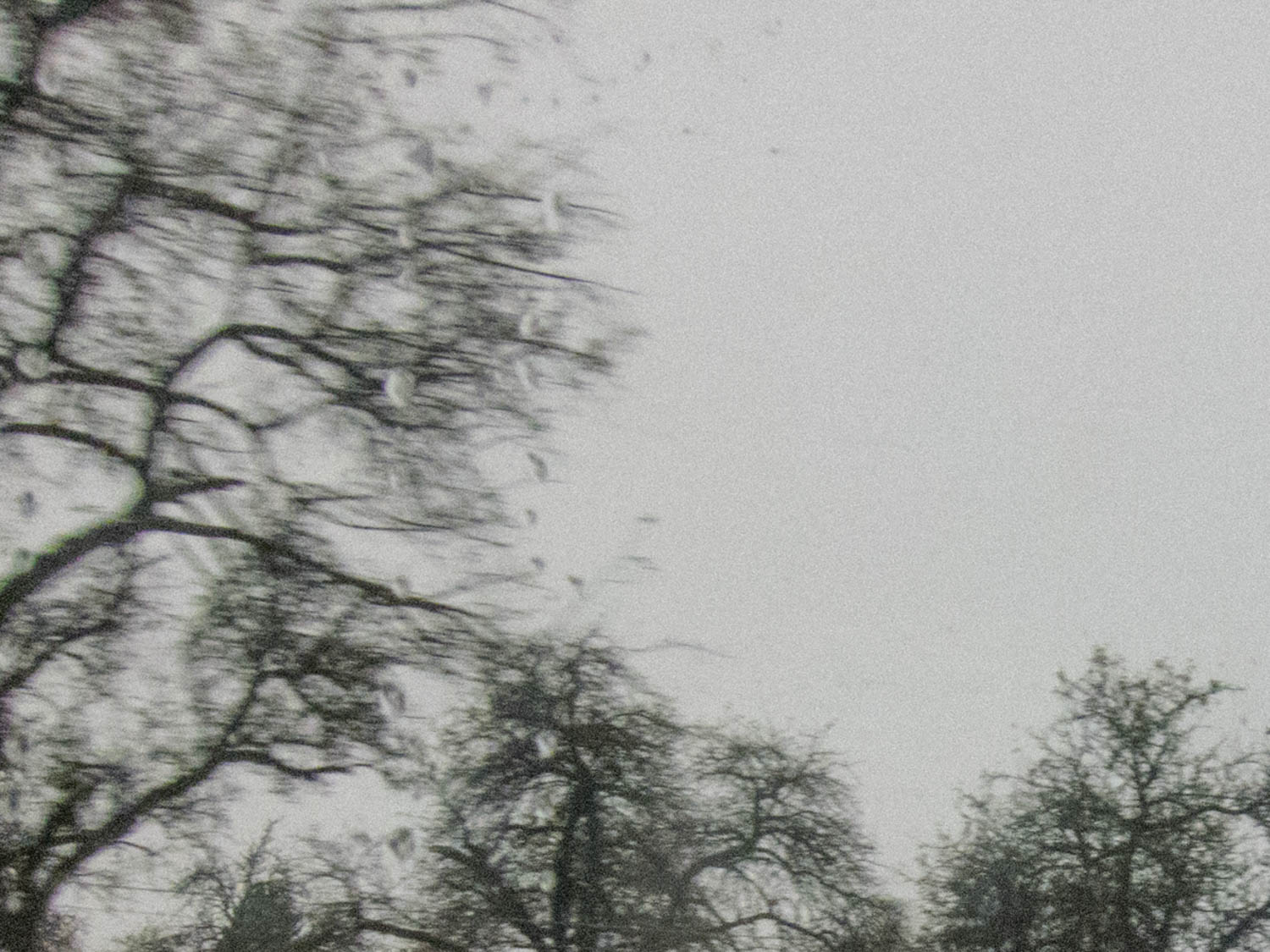 Das Gedächtnis des Regens