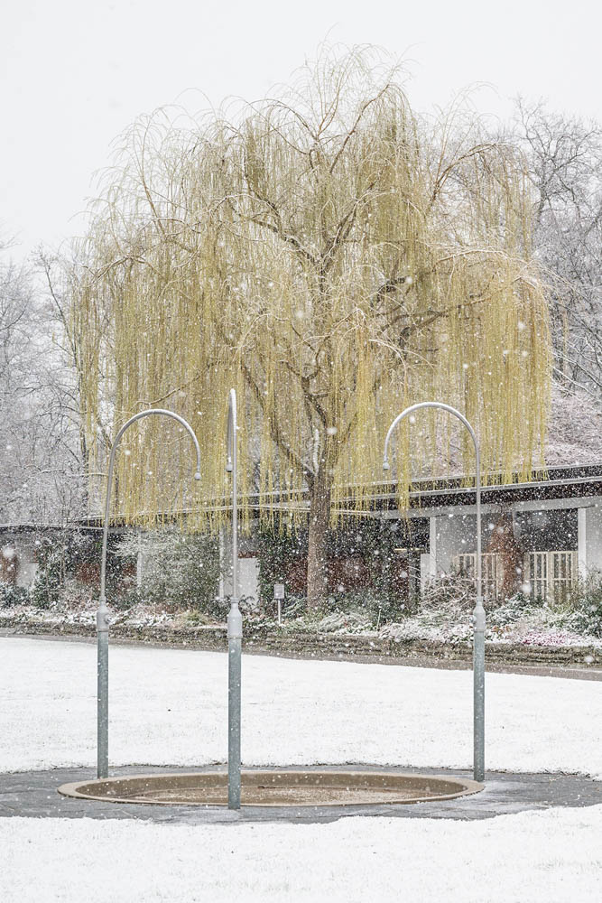 Warten auf den Sommer Bild 1