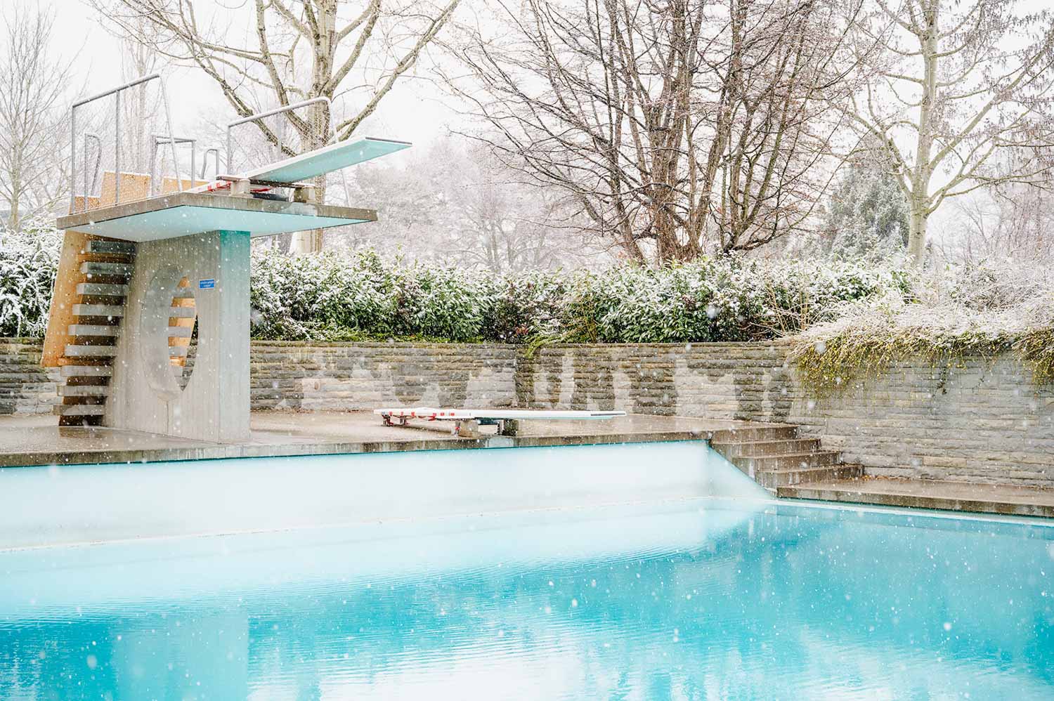 Warten auf den Sommer Bild 3