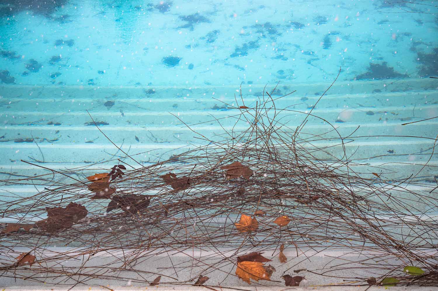 Warten auf den Sommer Bild 5