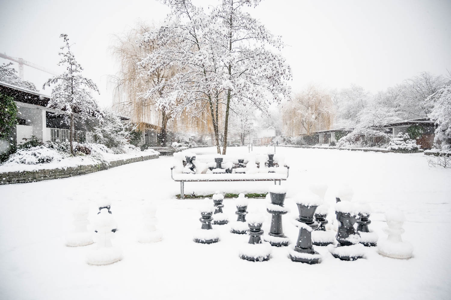 Warten auf den Sommer Bild 10
